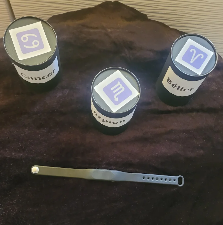 COLLECTION ZODIAQUE
